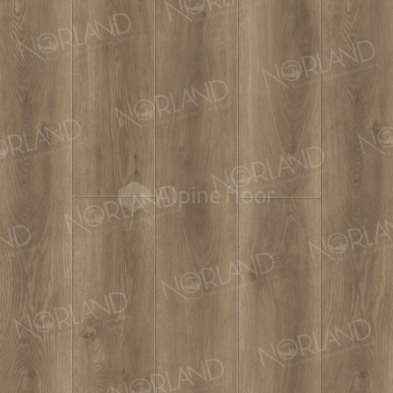 SPC Ламинат "Norland" Tista (1220*196*8 мм) — купить в Тамбове