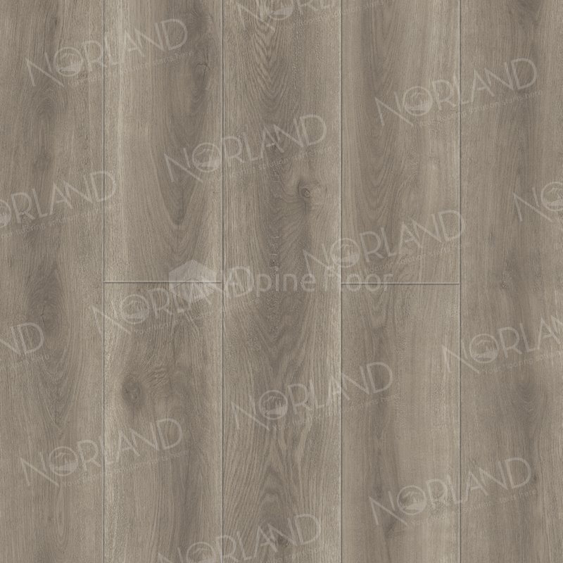 SPC Ламинат "Norland" Templet (1220*196*8 мм) — купить в Тамбове
